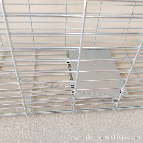 Small Animal Trap Cage Free Customized Logo Humane Mouse Trap Supplier